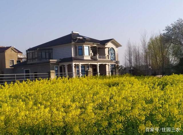 農(nóng)村自建二層別墅 農(nóng)村自建二層別墅