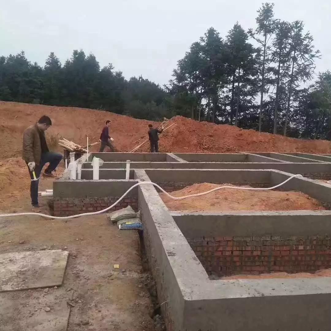 基礎(chǔ).jpeg 基礎(chǔ).jpeg