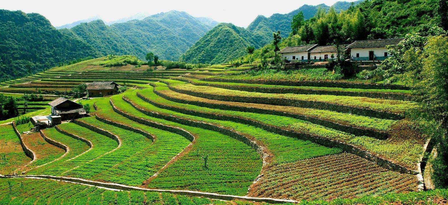 土地的類型.jpg 土地的類型.jpg