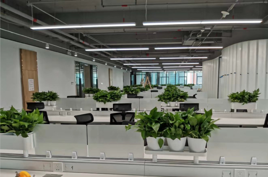 不同工作性質(zhì)如何選擇辦公室風(fēng)水植物.png 不同工作性質(zhì)如何選擇辦公室風(fēng)水植物.png