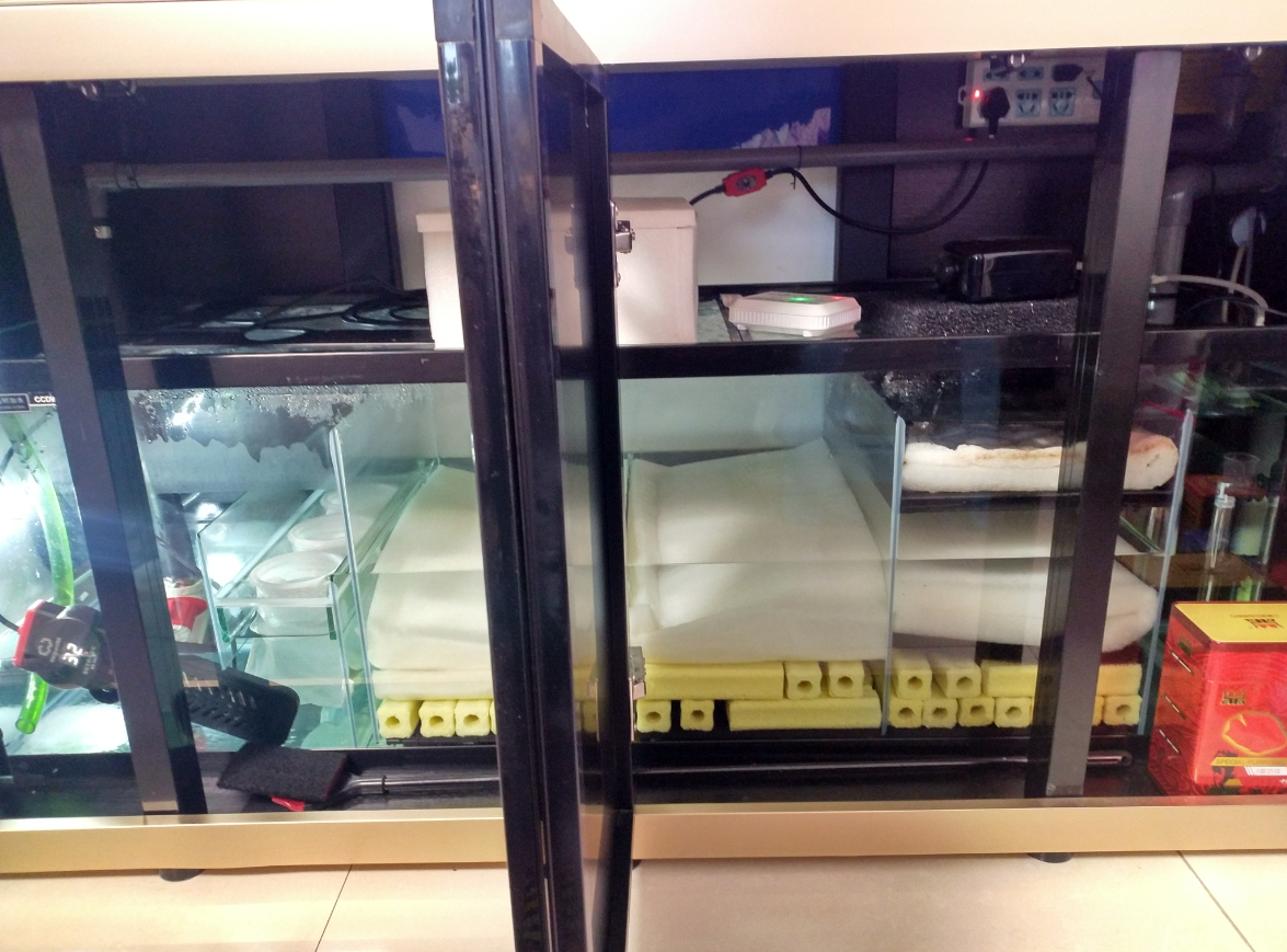 魚缸過濾器材擺放順序有講究.png 魚缸過濾器材擺放順序有講究.png