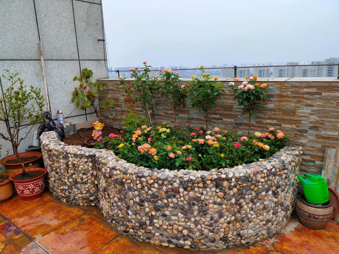 為什么都說屋頂花園好 (1).png 為什么都說屋頂花園好 (1).png
