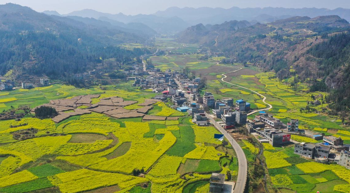 農村這三種違建可不拆.png 農村這三種違建可不拆.png