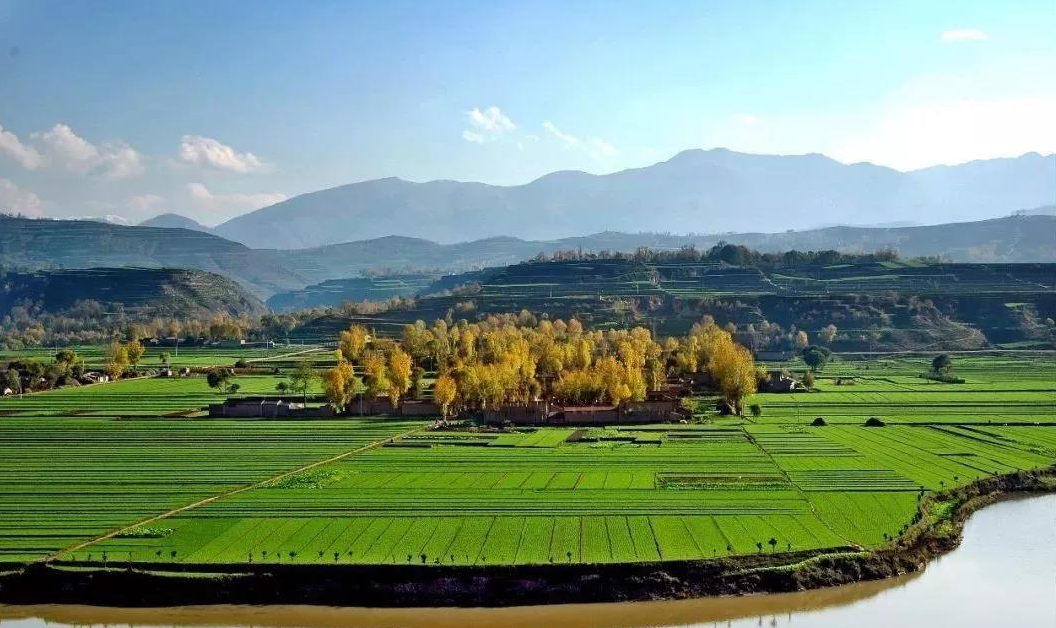 沒有進行確權(quán)的土地怎么辦?.png 沒有進行確權(quán)的土地怎么辦?.png