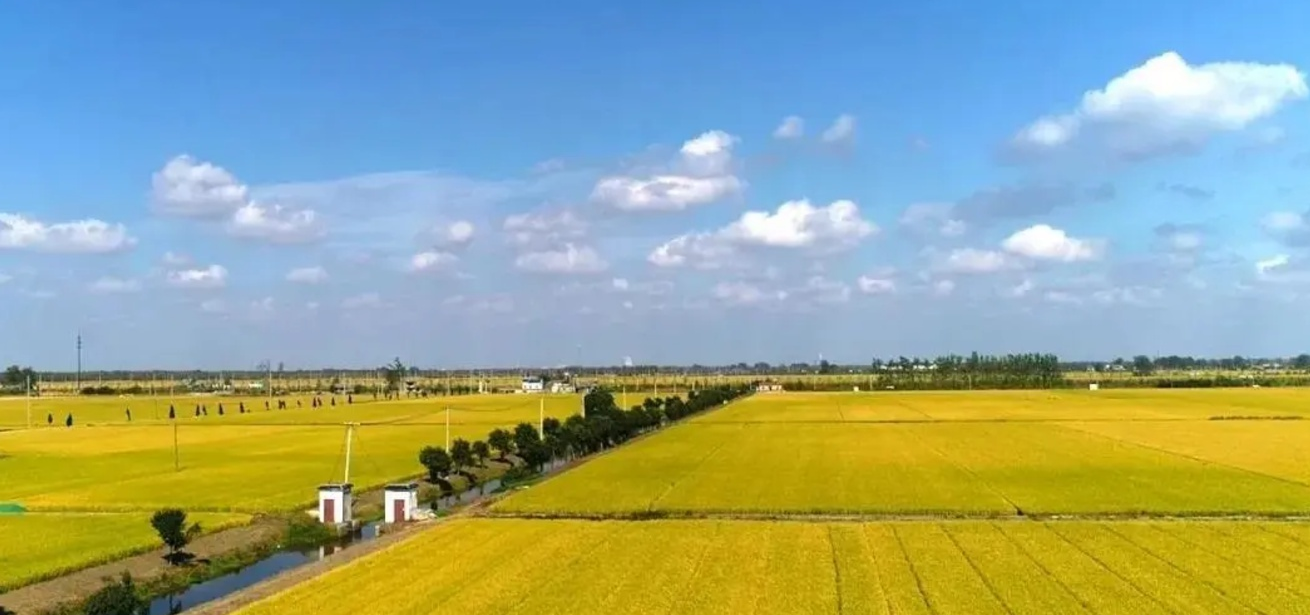 土地確權(quán)時,有個“4確3不確”的說法 (2).png 土地確權(quán)時,有個“4確3不確”的說法 (2).png