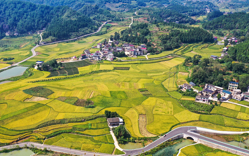 家居風水不好如何化解 (1).png 家居風水不好如何化解 (1).png
